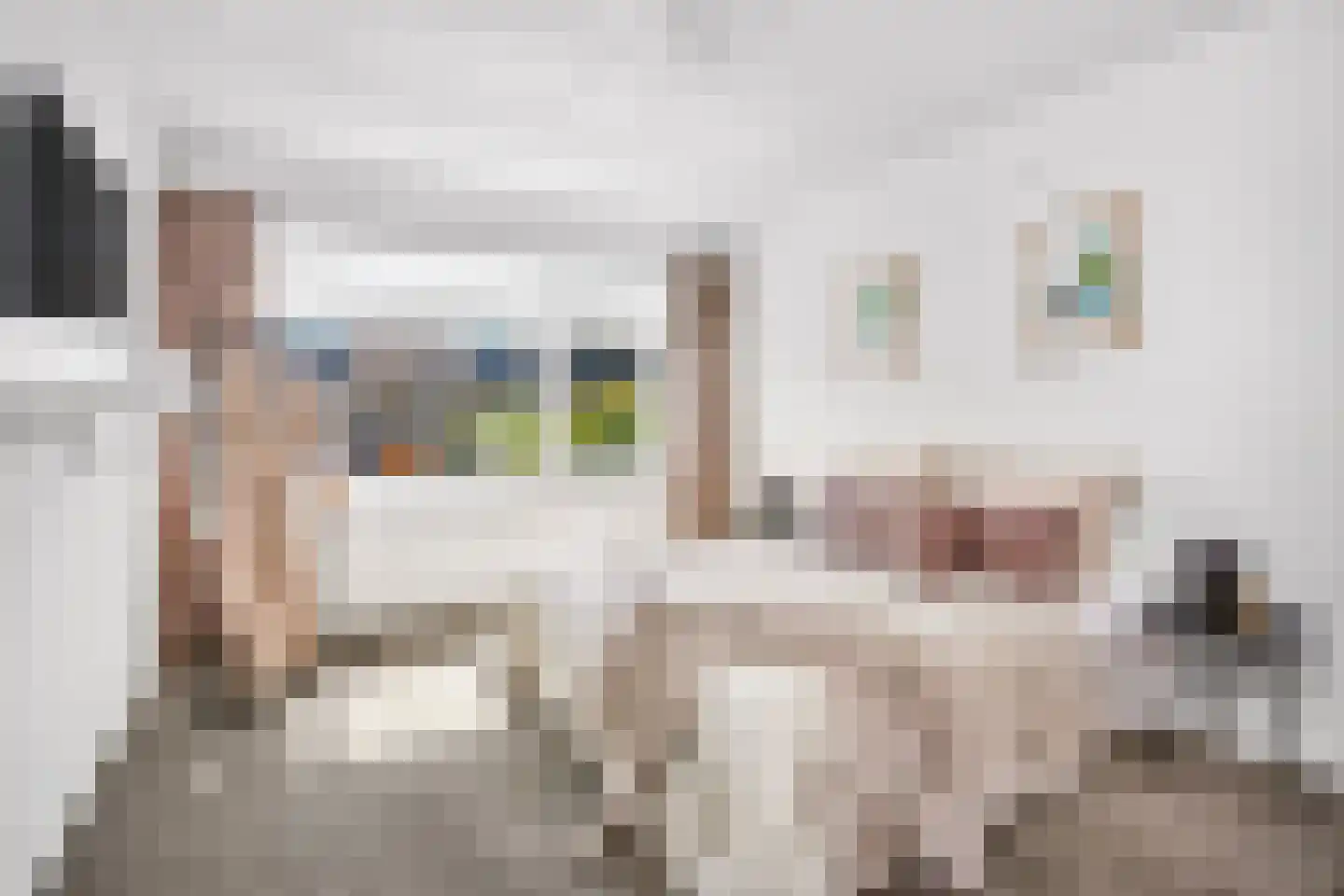 Oudenrijnsingel 12 De Meern thumbnail 21