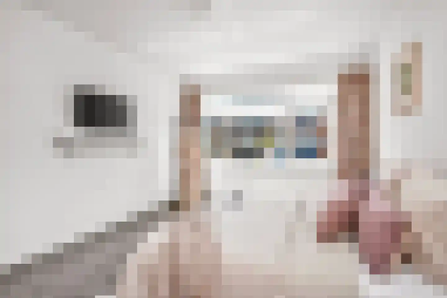 Oudenrijnsingel 12 De Meern thumbnail 22