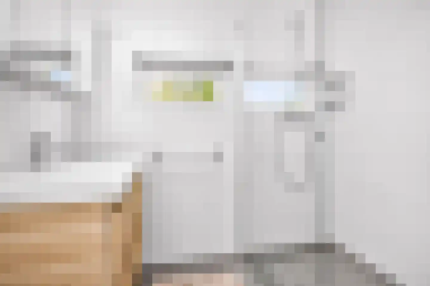 Oudenrijnsingel 12 De Meern thumbnail 27