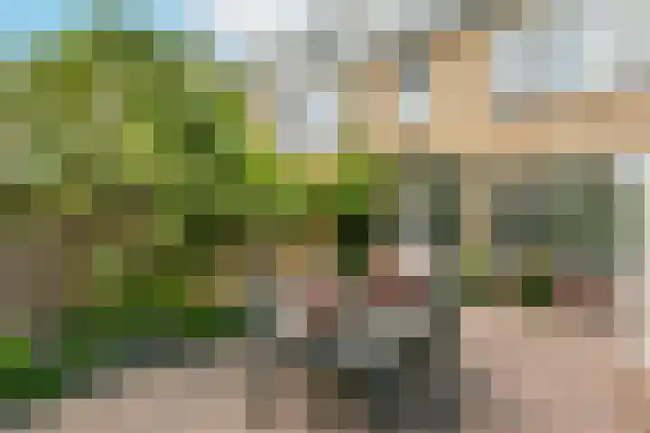 Oudenrijnsingel 44 De Meern thumbnail 12