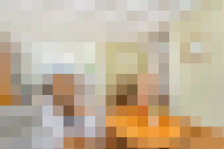 Oudenrijnsingel 44 De Meern thumbnail 5