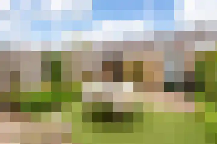 Oudenrijnsingel 47 De Meern thumbnail 18