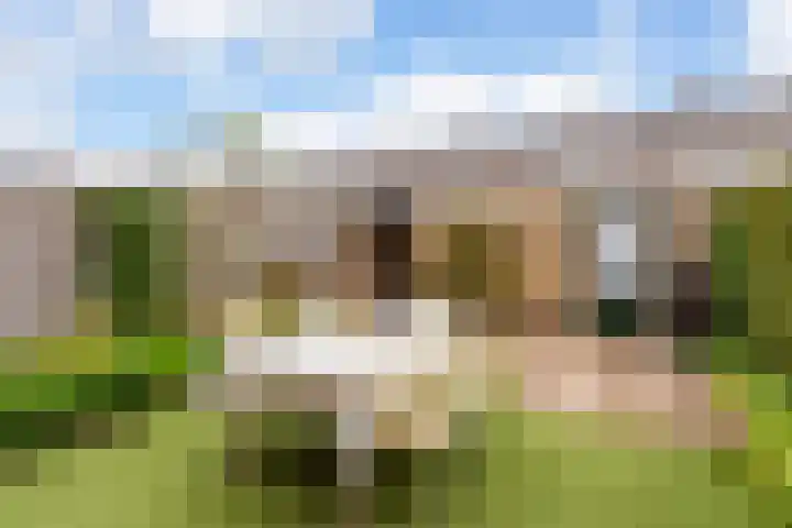 Oudenrijnsingel 47 De Meern thumbnail 19