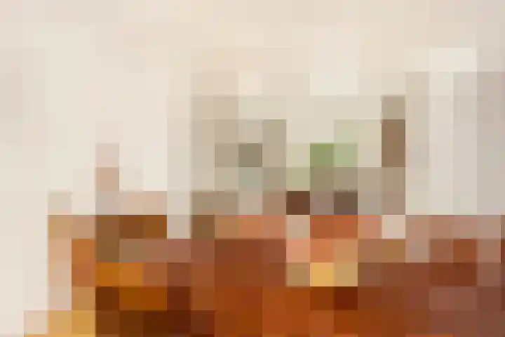 Oudenrijnsingel 47 De Meern thumbnail 24