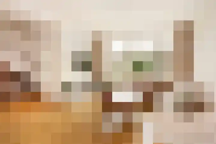 Oudenrijnsingel 47 De Meern thumbnail 27