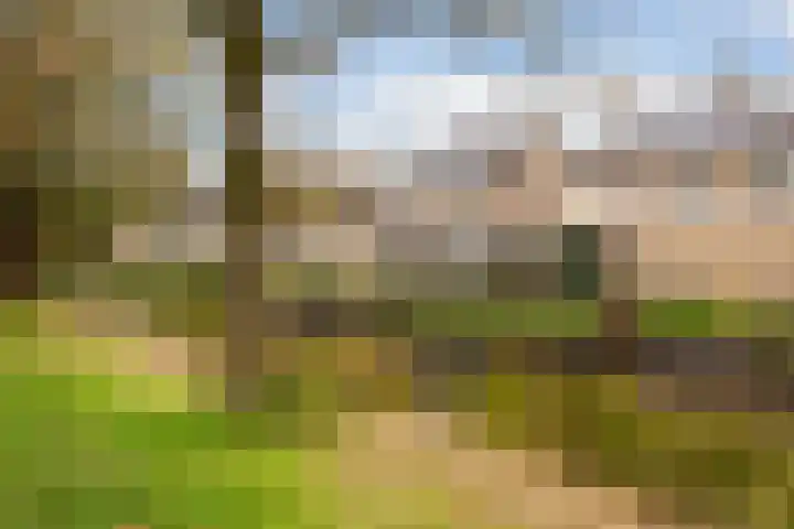 Oudenrijnsingel 47 De Meern thumbnail 4