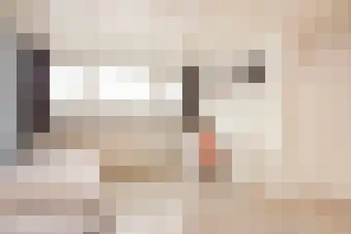 Oudenrijnsingel 47 De Meern thumbnail 41