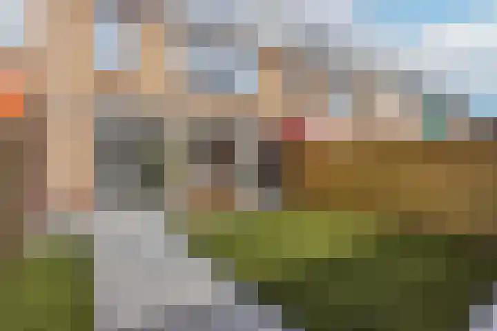 Oudenrijnsingel 49 De Meern thumbnail 12
