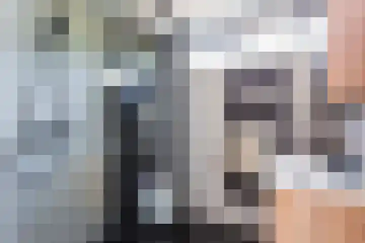 Oudenrijnsingel 49 De Meern thumbnail 26