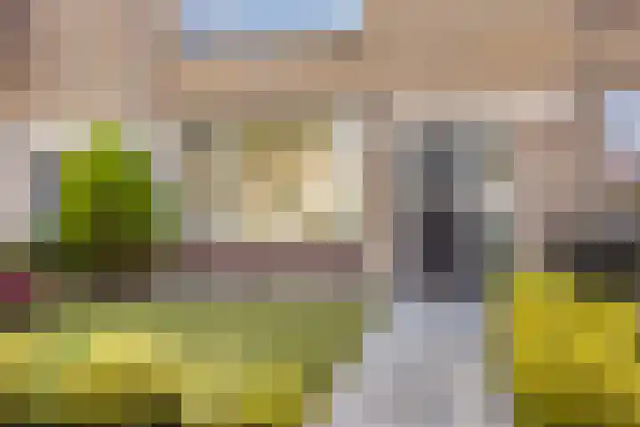 Oudenrijnsingel 49 De Meern thumbnail 35