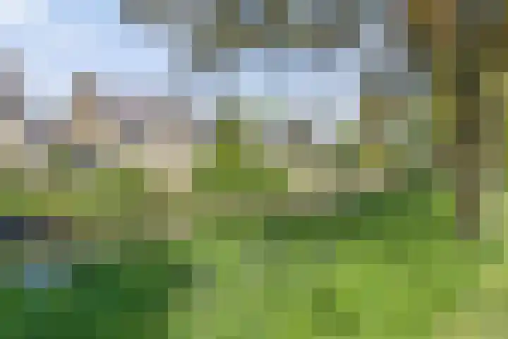 Oudenrijnsingel 49 De Meern thumbnail 38