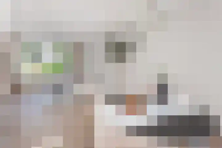 Oudenrijnsingel 49 De Meern thumbnail 4