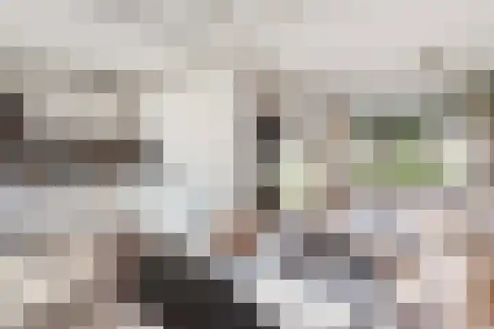 Oudenrijnsingel 49 De Meern thumbnail 5