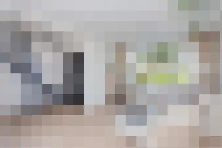 Oudenrijnsingel 49 De Meern thumbnail 6