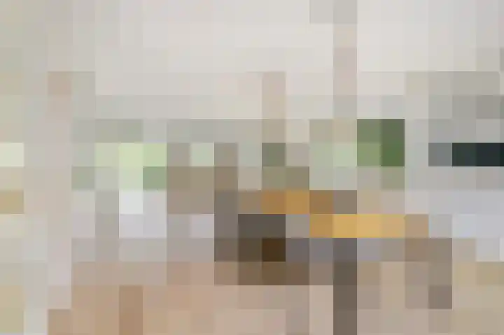 Oudenstein 9 Nuenen thumbnail 11