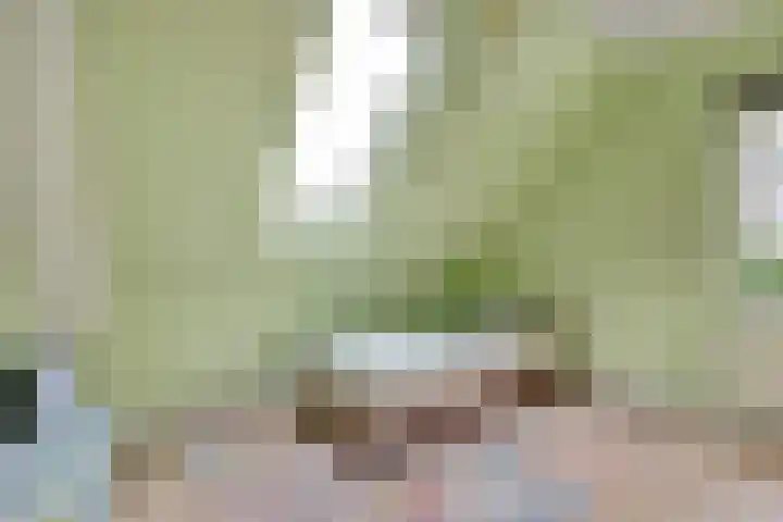 Oudenstein 9 Nuenen thumbnail 27