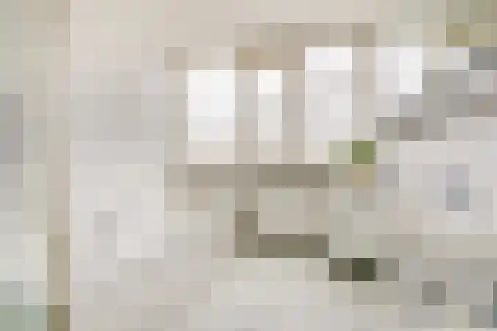 Oudenstein 9 Nuenen thumbnail 34