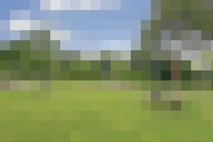 Oudenstein 9 Nuenen thumbnail 48