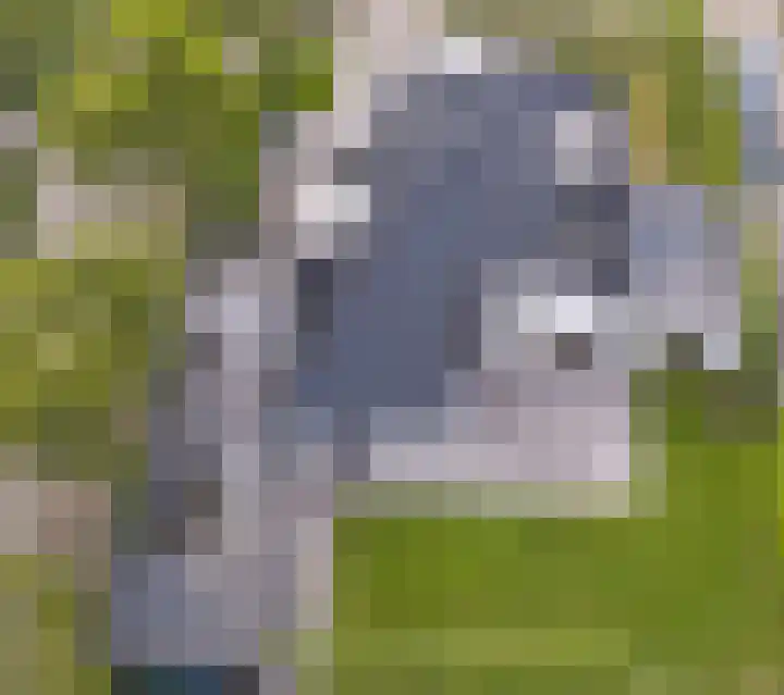 Oudenstein 9 Nuenen thumbnail 49
