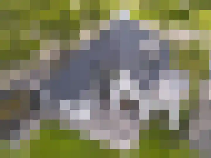 Oudenstein 9 Nuenen thumbnail 50