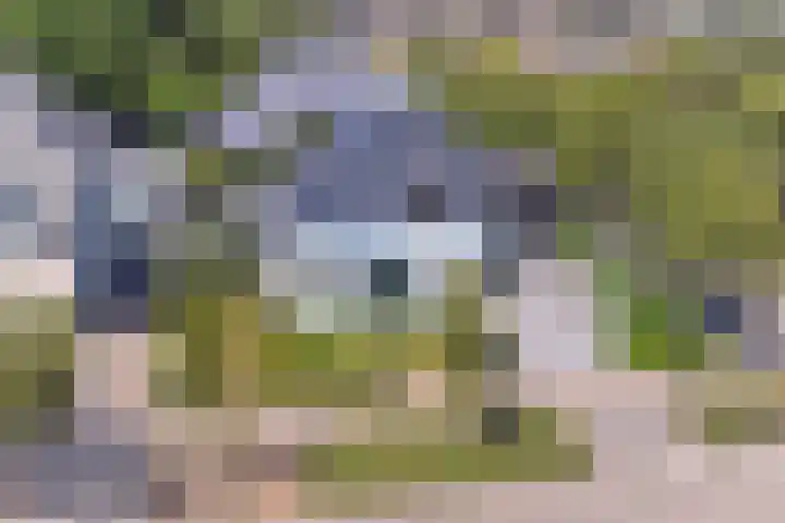 Oudenstein 9 Nuenen thumbnail 51