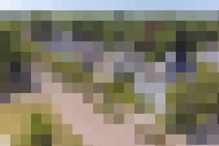Oudenstein 9 Nuenen thumbnail 53