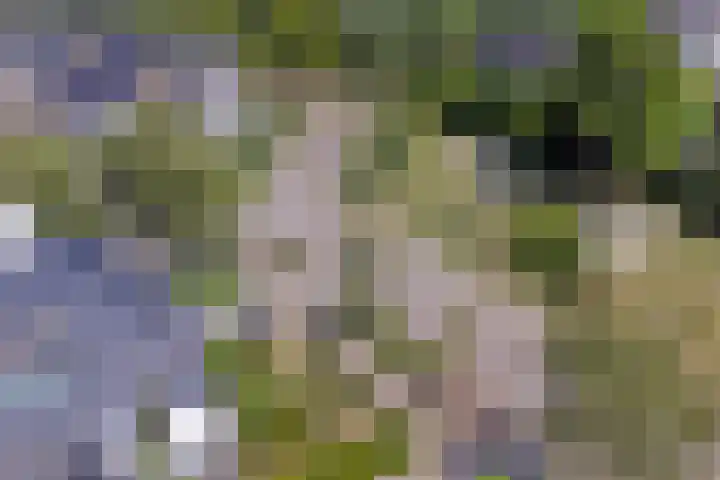 Oudenstein 9 Nuenen thumbnail 55