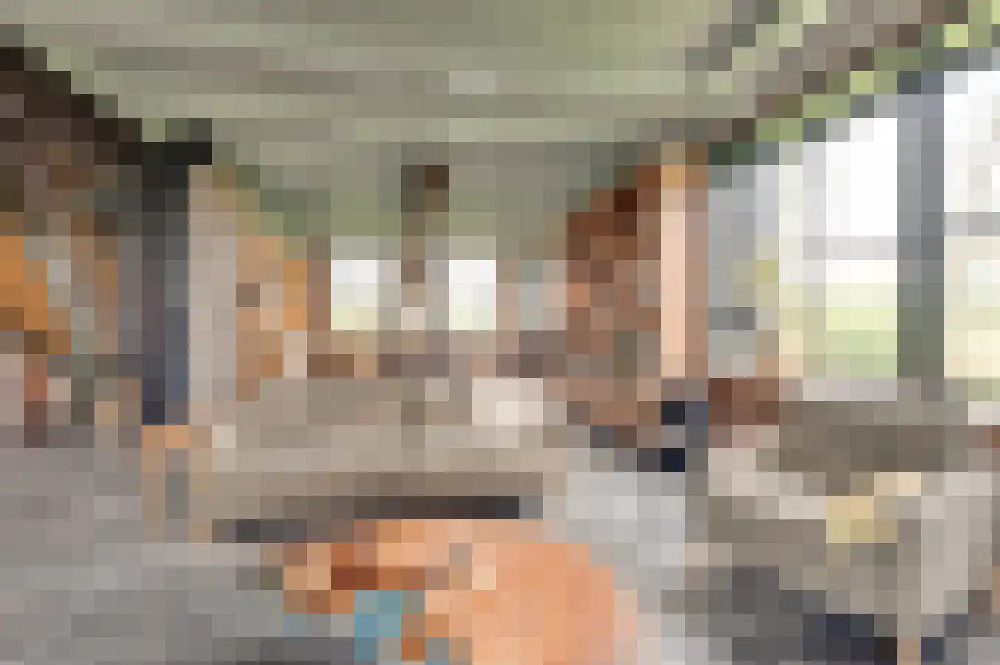 Oudepolderdijk 8 Nieuwerkerk thumbnail 10