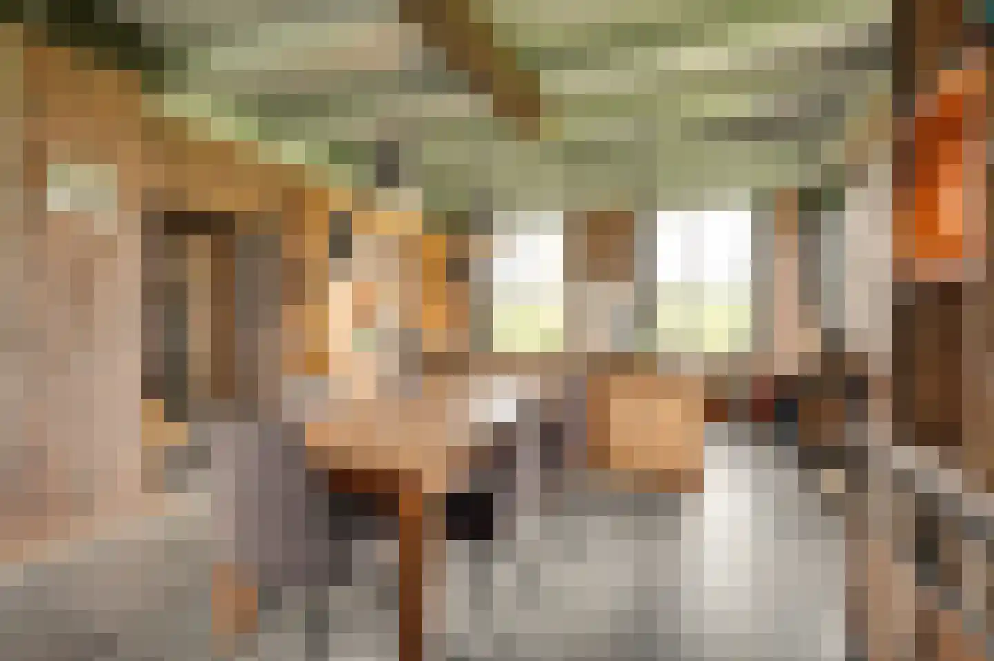 Oudepolderdijk 8 Nieuwerkerk thumbnail 12