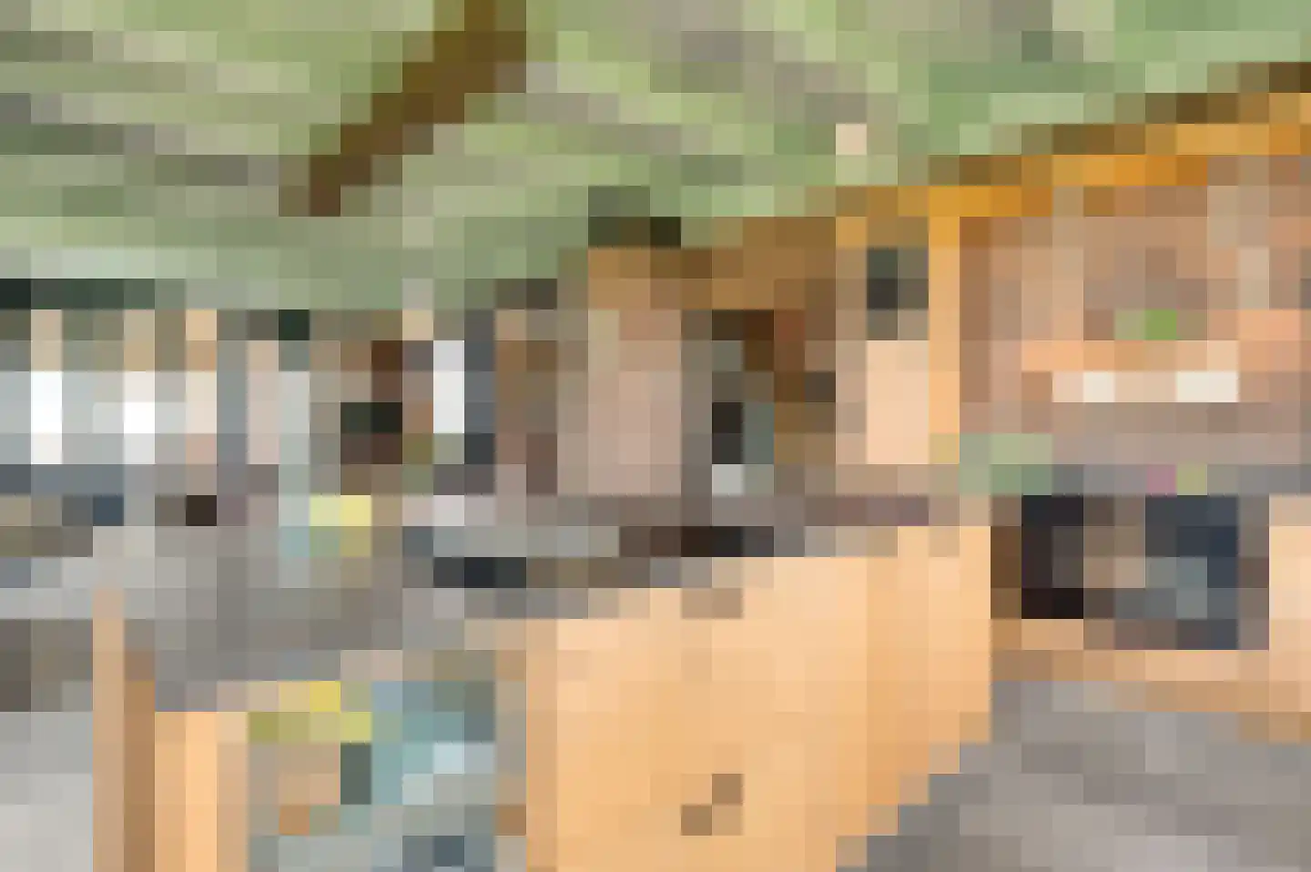 Oudepolderdijk 8 Nieuwerkerk thumbnail 13