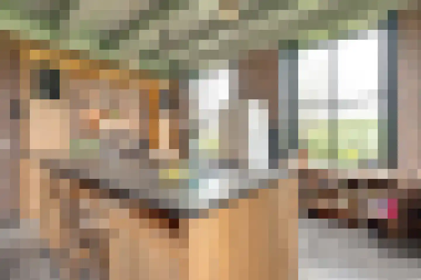 Oudepolderdijk 8 Nieuwerkerk thumbnail 14