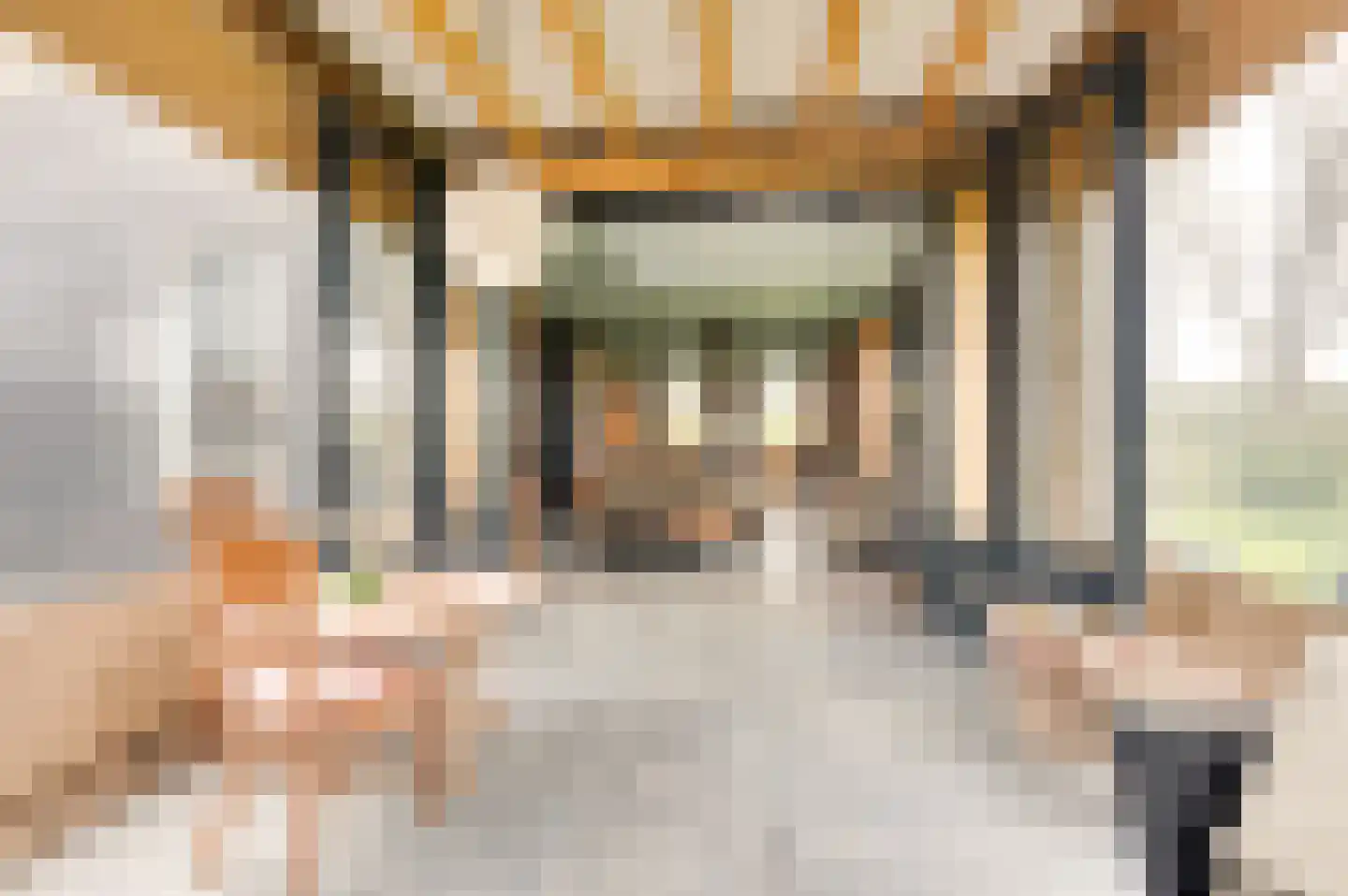 Oudepolderdijk 8 Nieuwerkerk thumbnail 15
