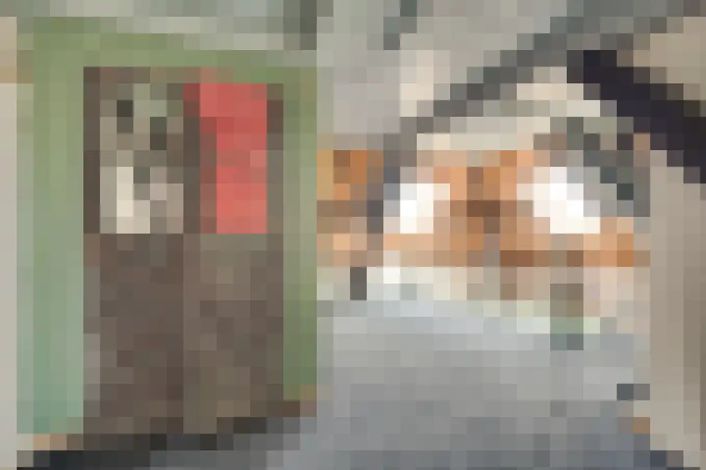 Oudepolderdijk 8 Nieuwerkerk thumbnail 17