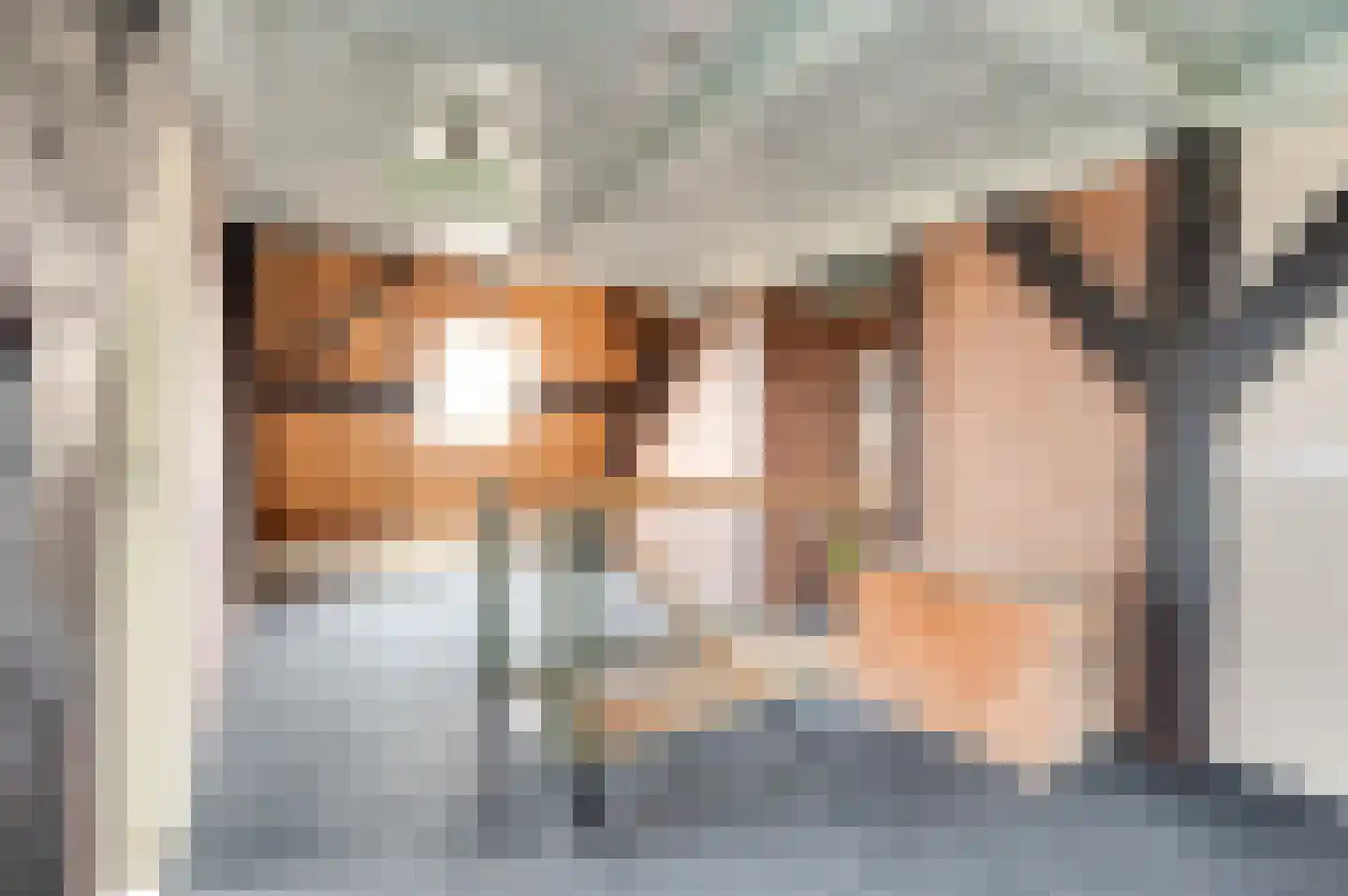 Oudepolderdijk 8 Nieuwerkerk thumbnail 18