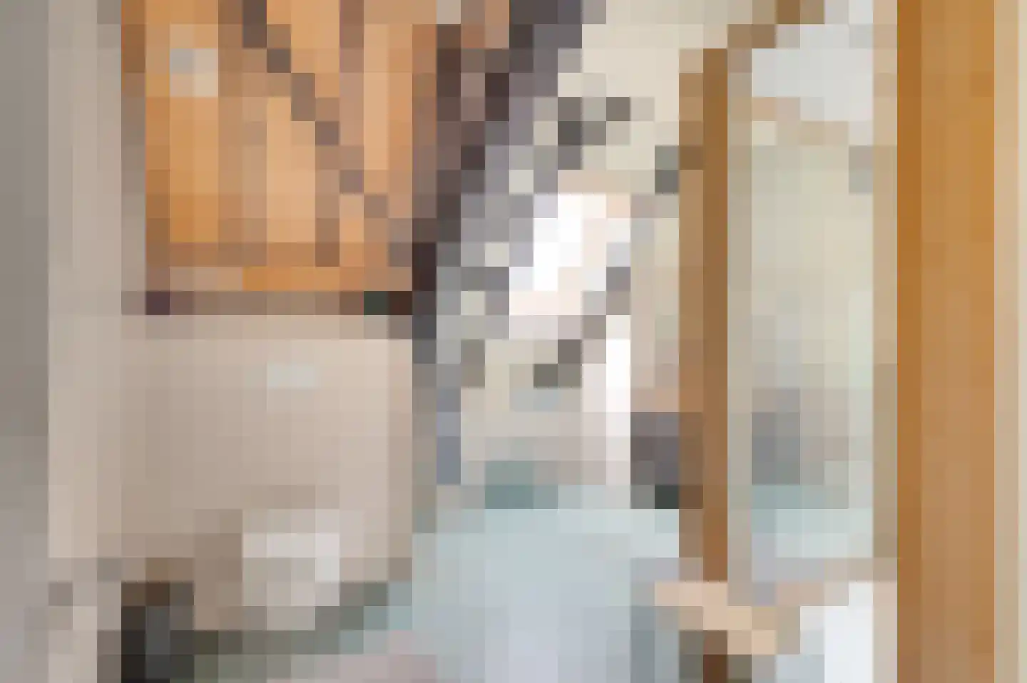 Oudepolderdijk 8 Nieuwerkerk thumbnail 20