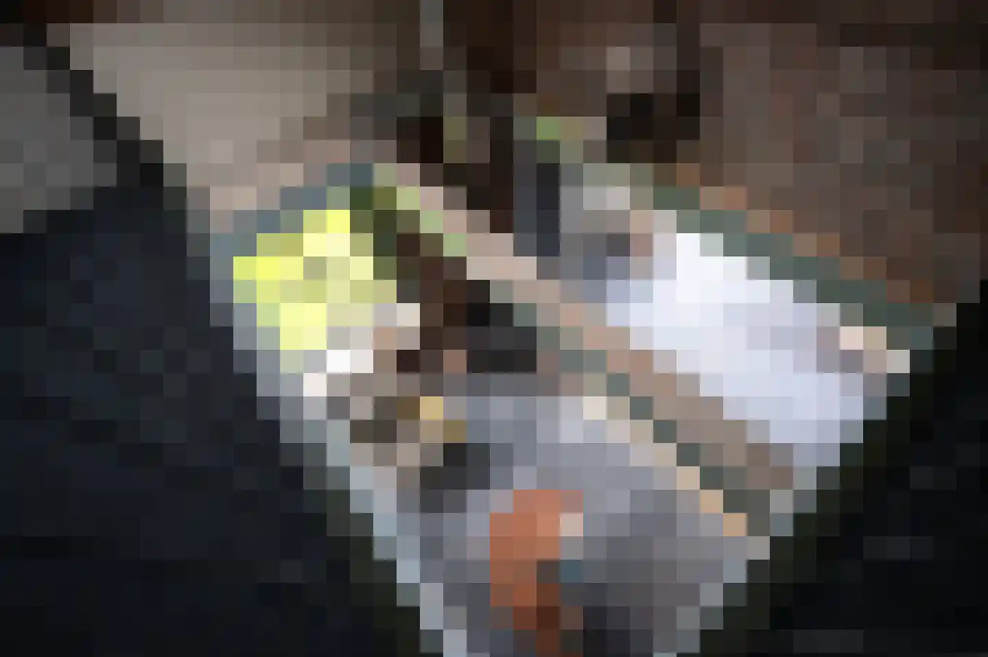 Oudepolderdijk 8 Nieuwerkerk thumbnail 21
