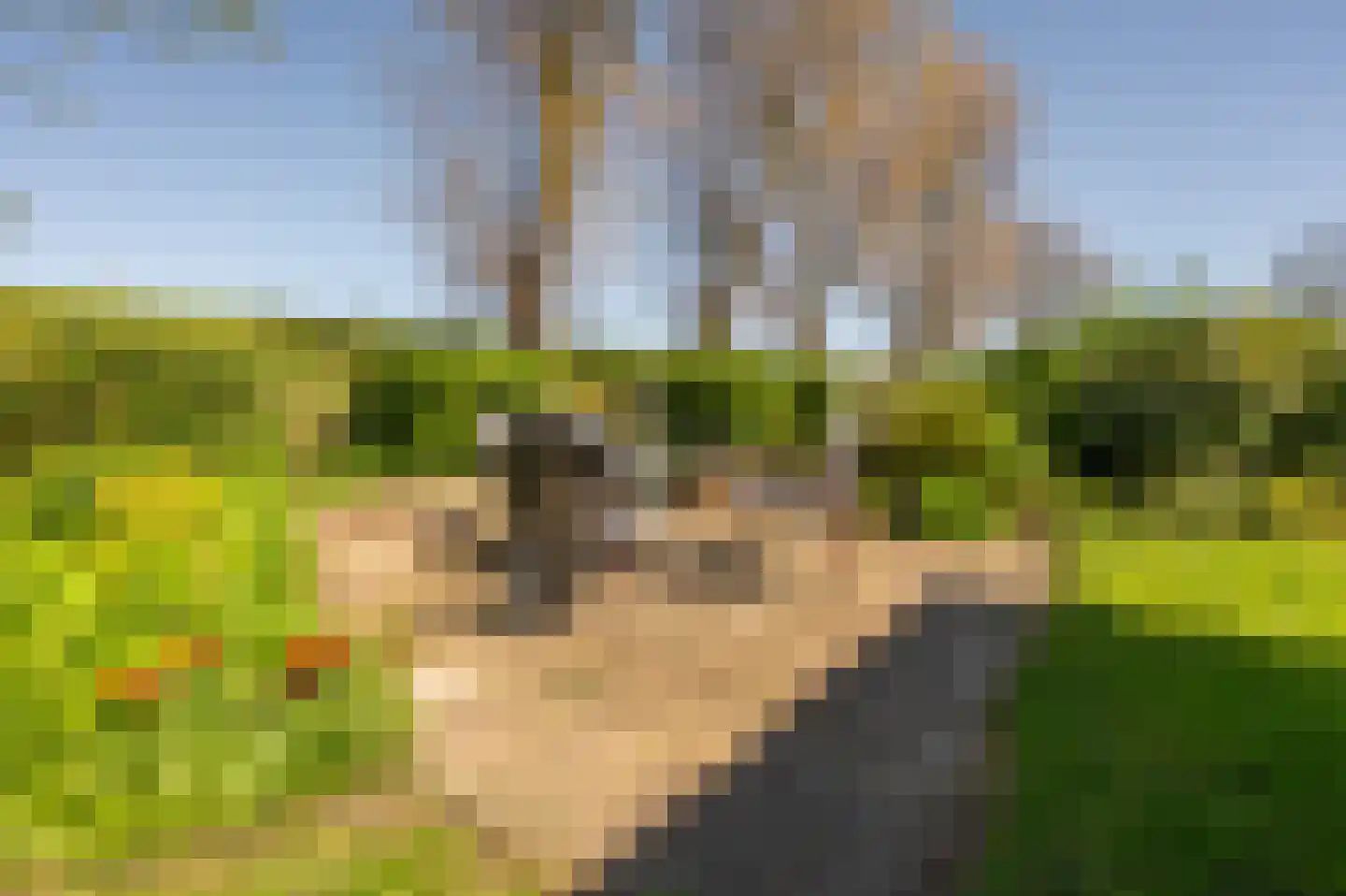 Oudepolderdijk 8 Nieuwerkerk thumbnail 24