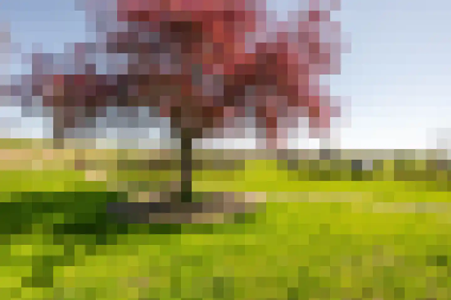 Oudepolderdijk 8 Nieuwerkerk thumbnail 25