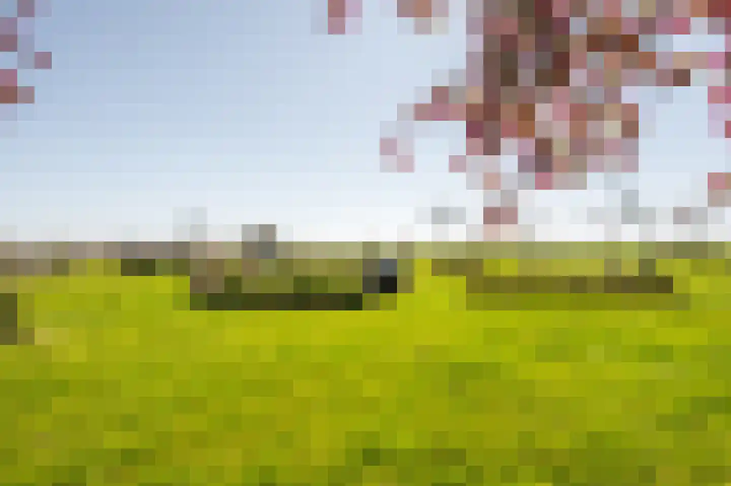 Oudepolderdijk 8 Nieuwerkerk thumbnail 26