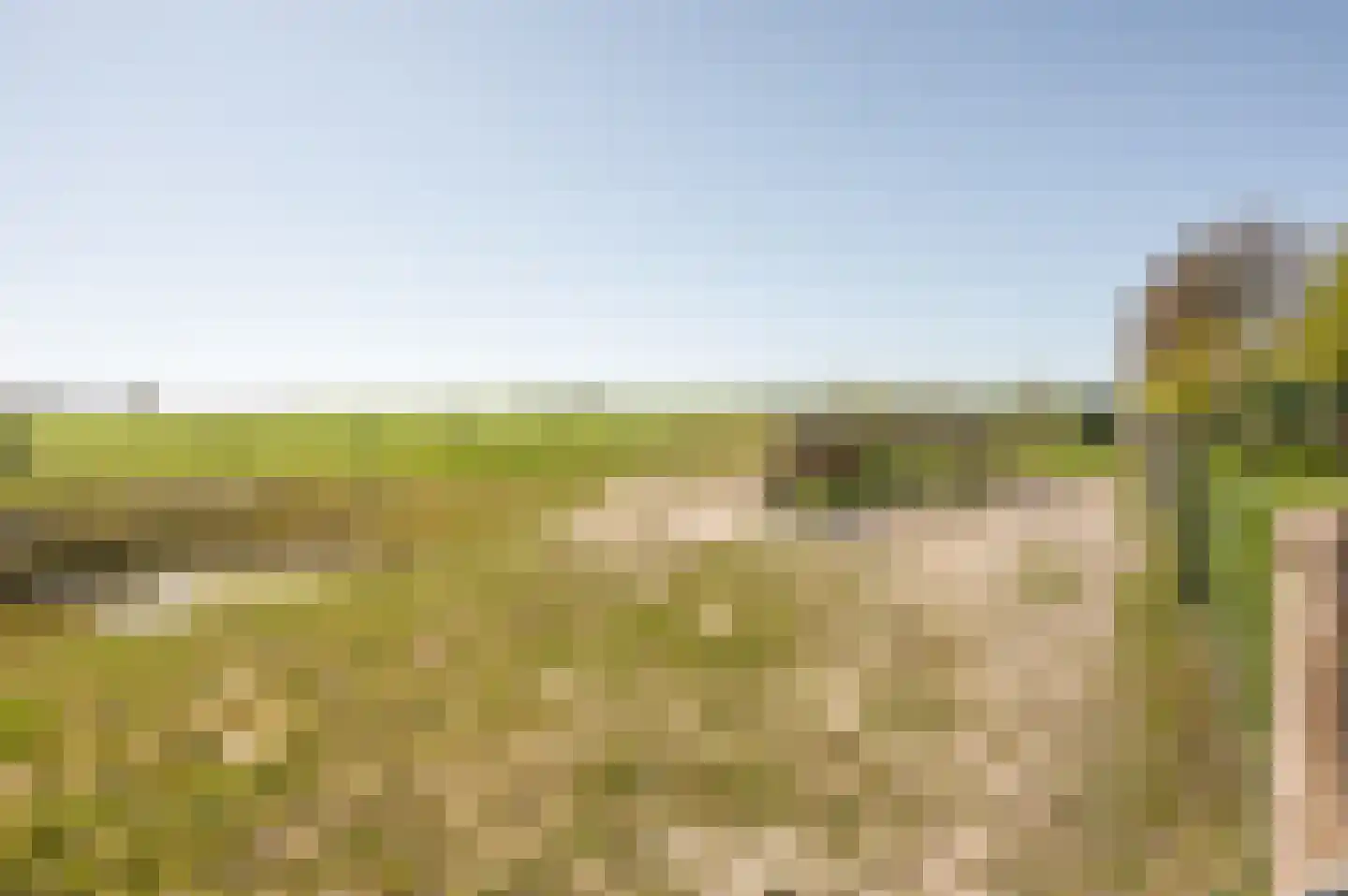 Oudepolderdijk 8 Nieuwerkerk thumbnail 27
