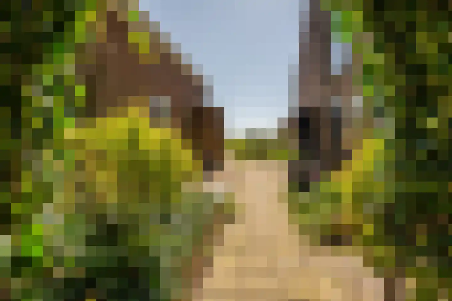 Oudepolderdijk 8 Nieuwerkerk thumbnail 28