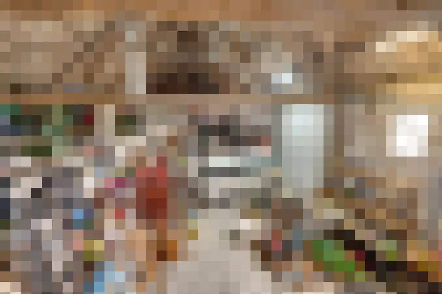 Oudepolderdijk 8 Nieuwerkerk thumbnail 30
