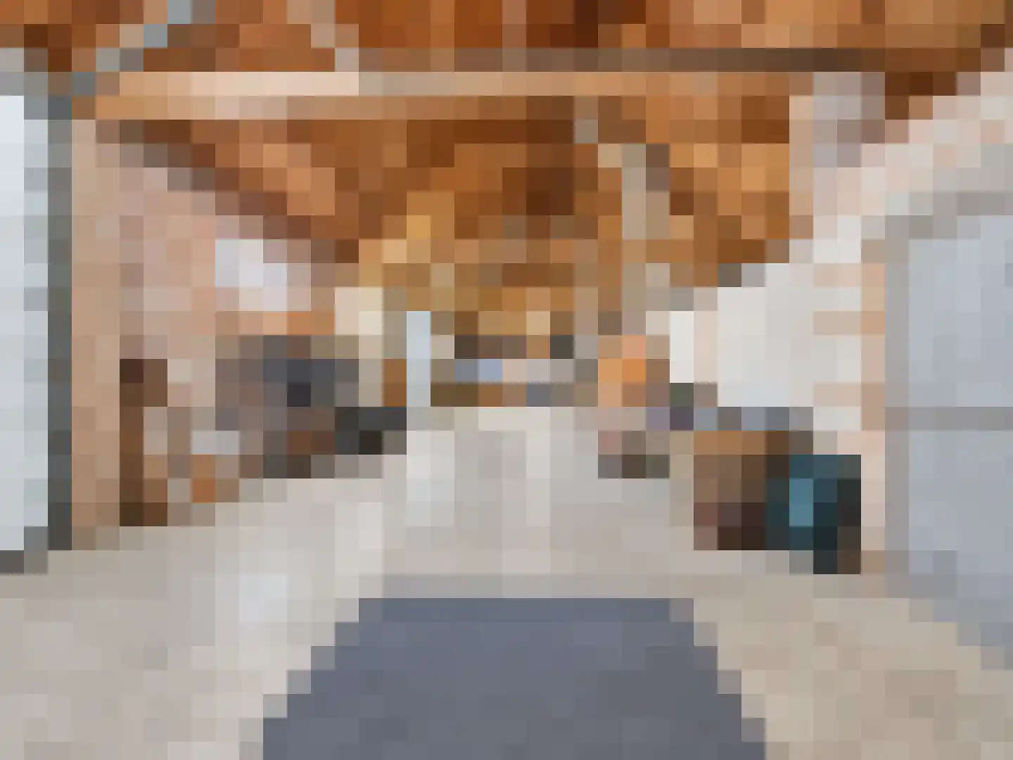 Oudepolderdijk 8 Nieuwerkerk thumbnail 31