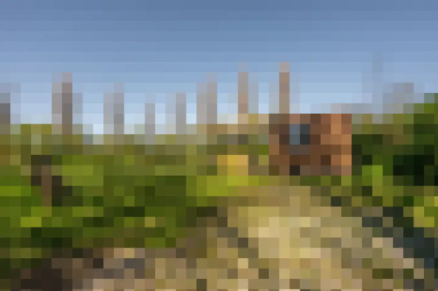 Oudepolderdijk 8 Nieuwerkerk thumbnail 39