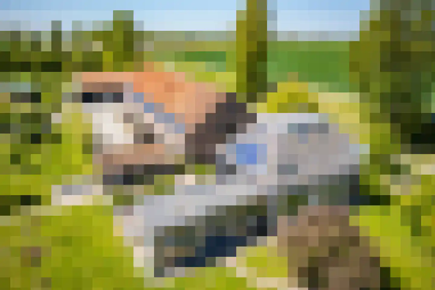 Oudepolderdijk 8 Nieuwerkerk thumbnail 4