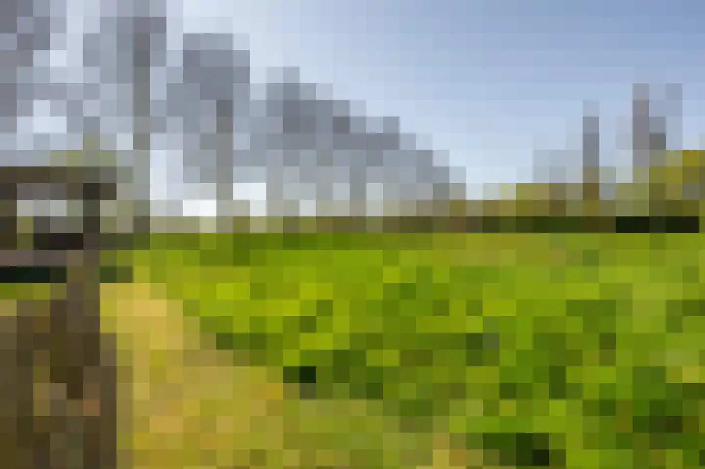 Oudepolderdijk 8 Nieuwerkerk thumbnail 43