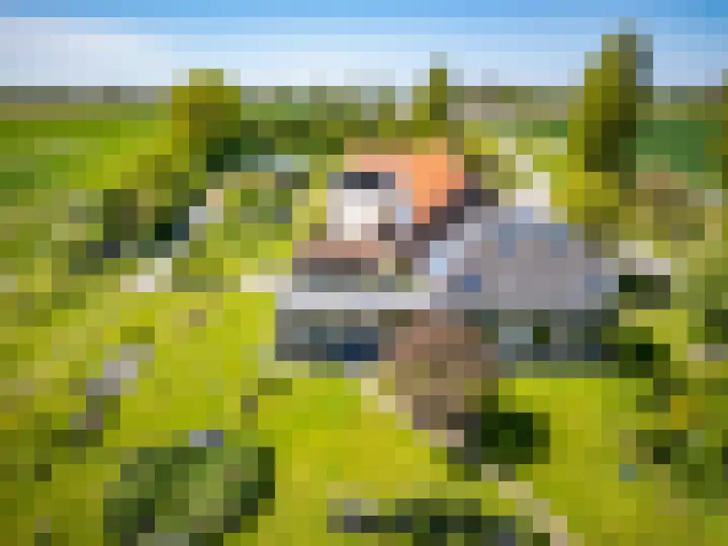 Oudepolderdijk 8 Nieuwerkerk thumbnail 44