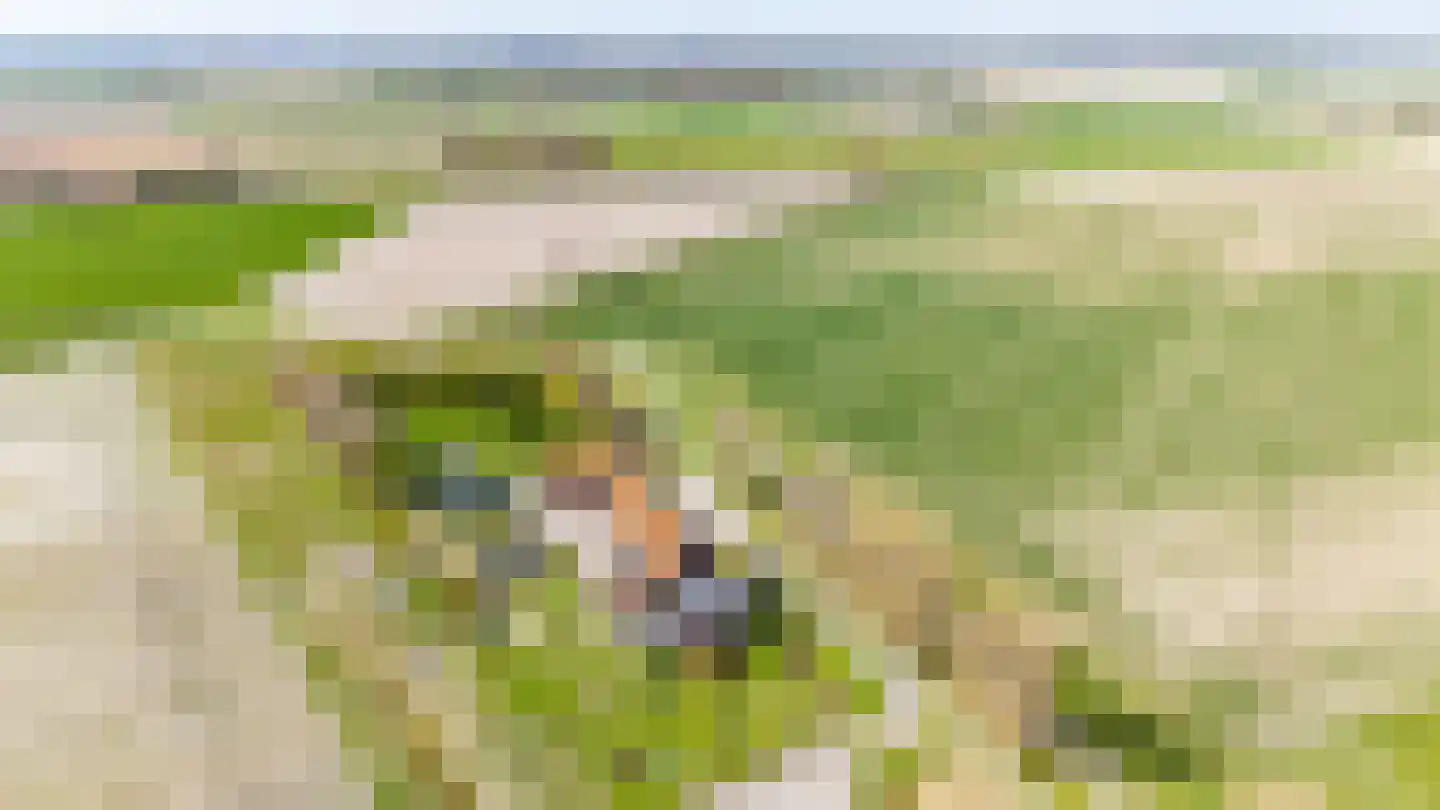 Oudepolderdijk 8 Nieuwerkerk thumbnail 45