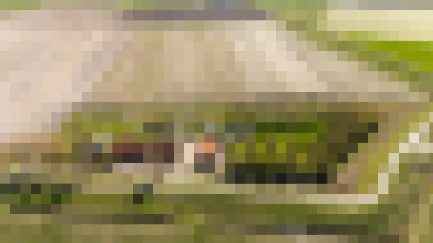 Oudepolderdijk 8 Nieuwerkerk thumbnail 47