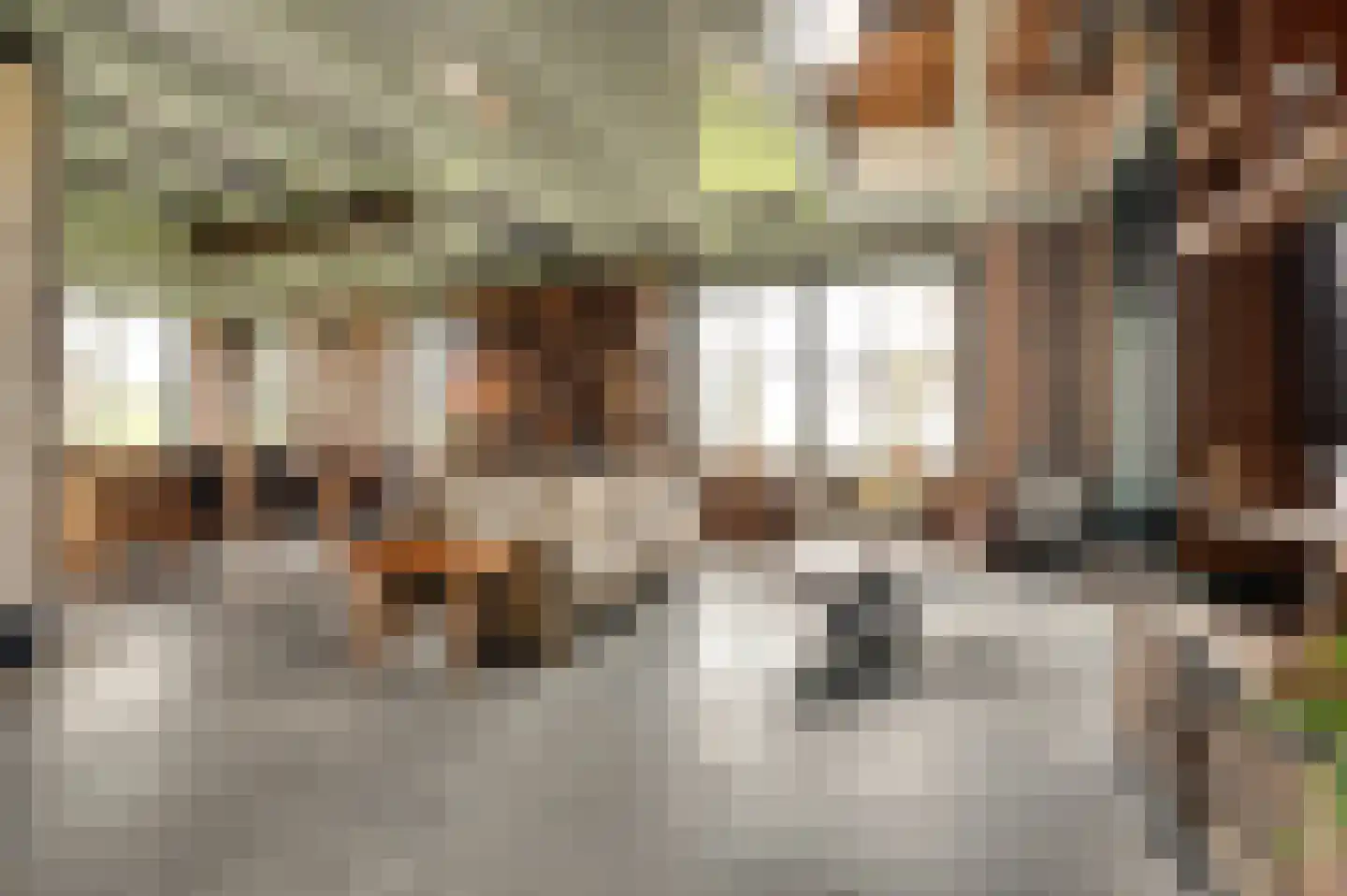 Oudepolderdijk 8 Nieuwerkerk thumbnail 9